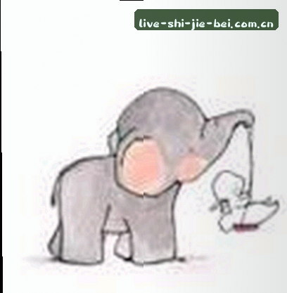 孙悦