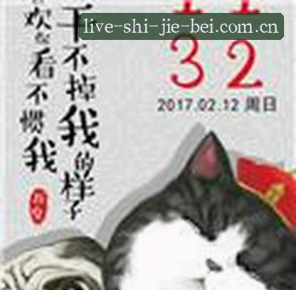 刘洋